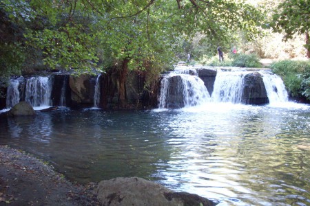 Le cascate di Monte Gelato