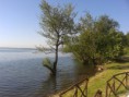 /album/galleria-fotografica/a20140510-084905-jpg/